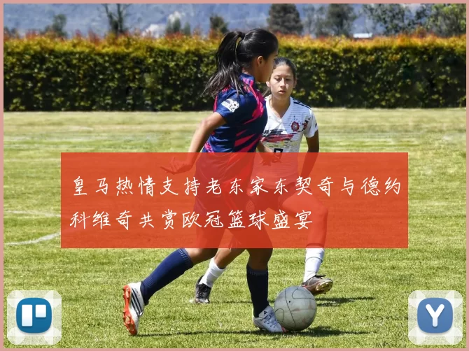 皇马热情支持老东家东契奇与德约科维奇共赏欧冠篮球盛宴