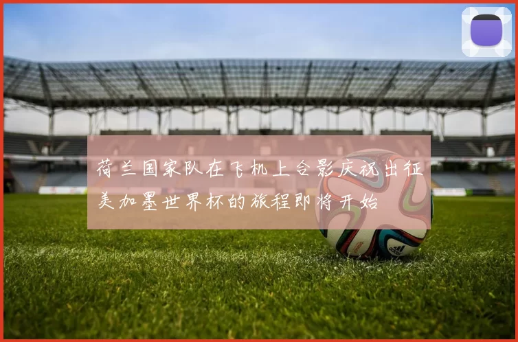荷兰国家队在飞机上合影庆祝出征美加墨世界杯的旅程即将开始